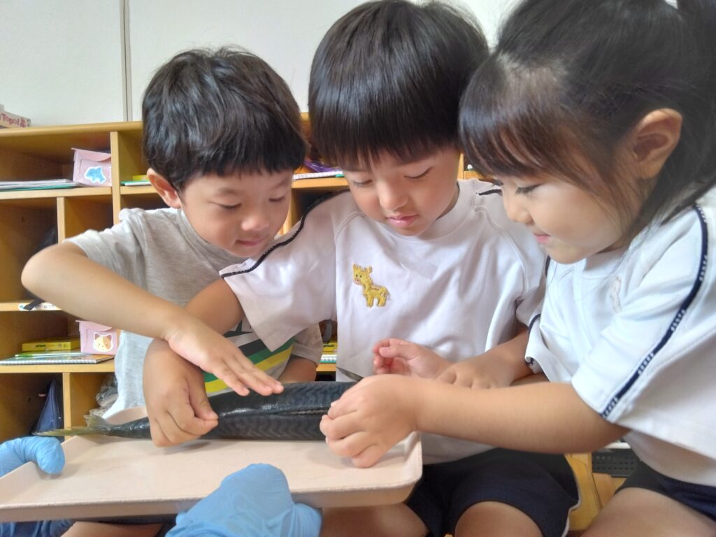 鯖の三枚おろしを見たよ！