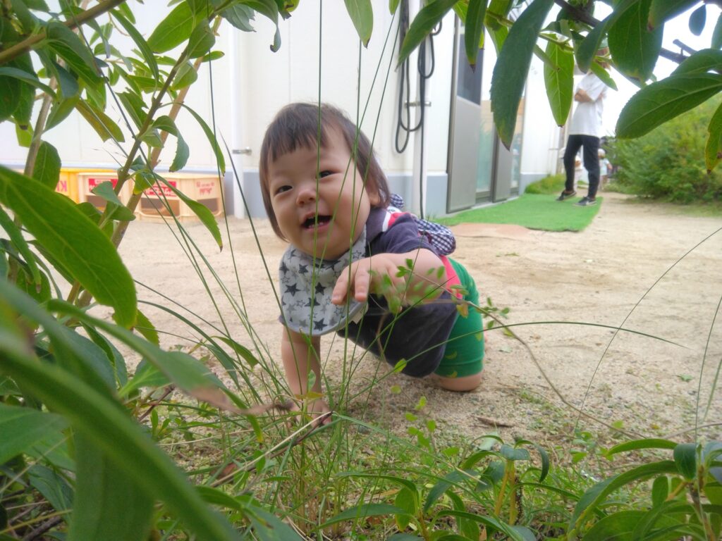 園庭遊び(0歳児もみじ組)