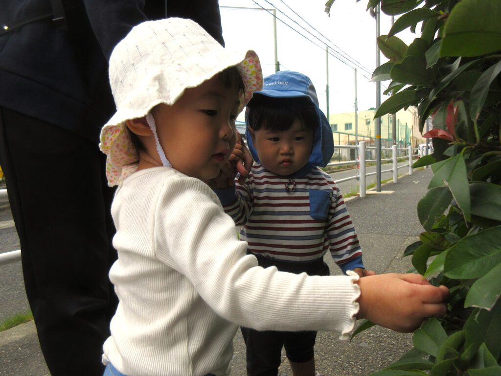 お散歩気持ちいいね♪