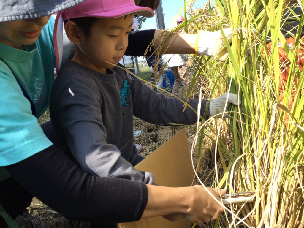 〜 稲刈りに行ったよ 〜