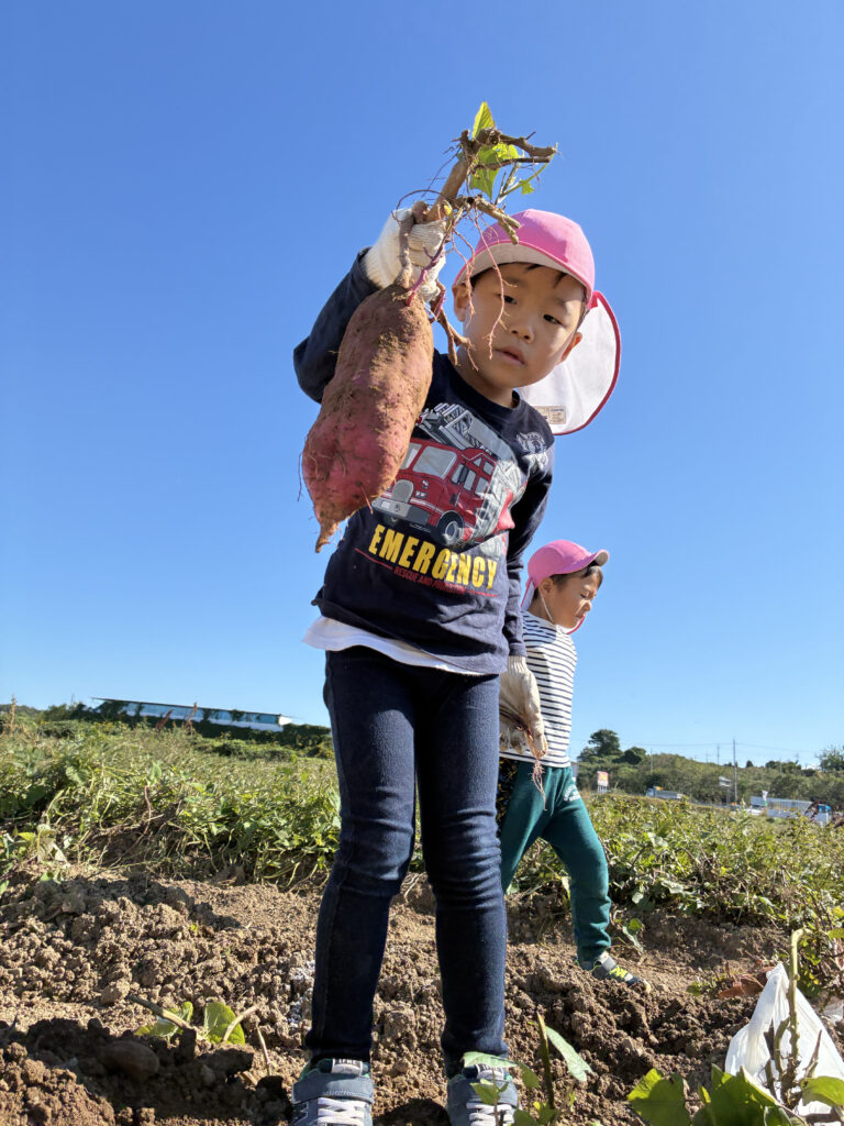 いもほり遠足