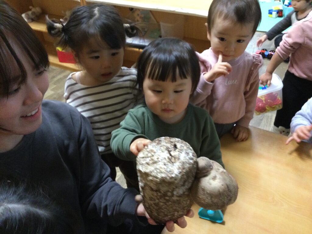 〜 育てたきのこを食べてみたよ 〜