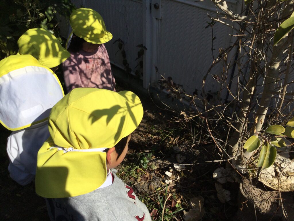 〜  公園で探検だ！〜